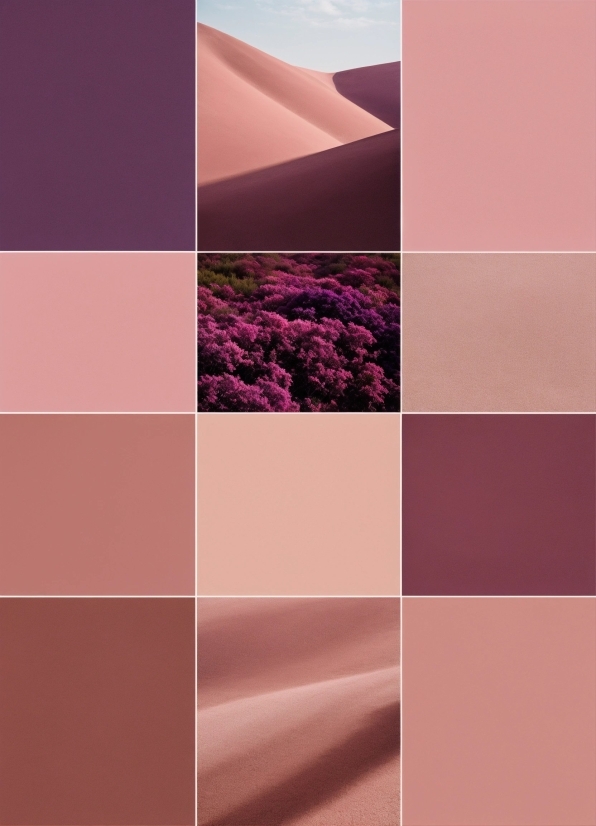 Purple, Plant, Rectangle, Violet, Pink, Slope