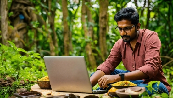 Glasses, Computer, Plant, Laptop, Personal Computer, Nature