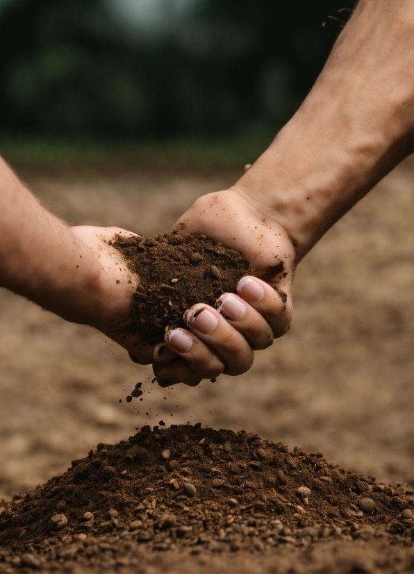 Gesture, People In Nature, Finger, Wood, Tree, Thumb