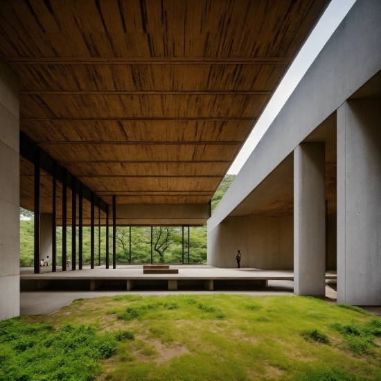 Plant, Shade, Interior Design, Grass, Wood, Facade