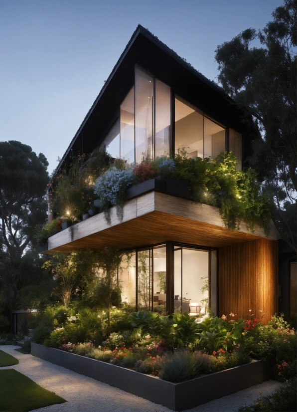 Plant, Building, Sky, Tree, Architecture, Window