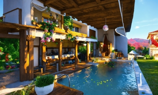 Water, Plant, Property, Swimming Pool, Flowerpot, Houseplant