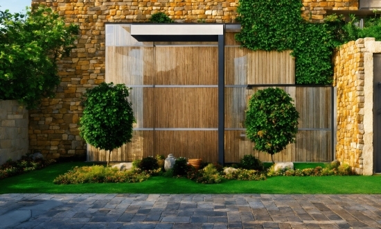 Plant, Green, Wood, Brickwork, Fixture, Grass