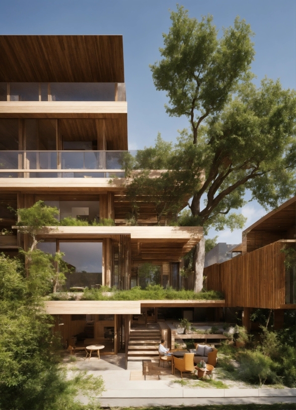 Plant, Building, Sky, Tree, Architecture, Shade