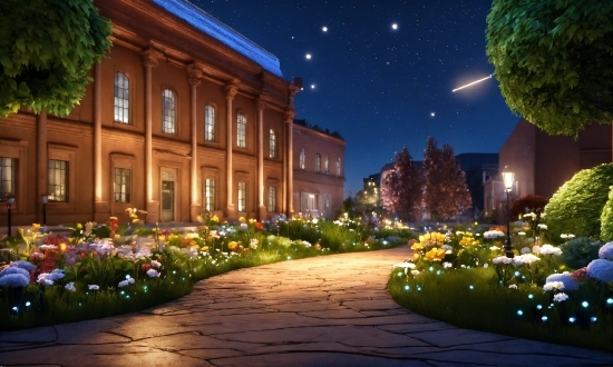 Plant, Flower, Sky, Building, Light, Green