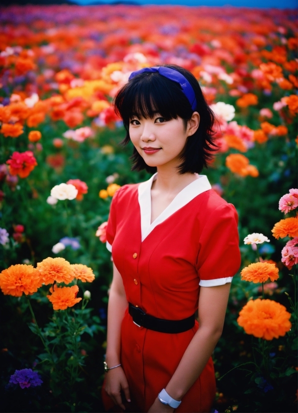 Bouquet, Happy, Portrait, People, Smasher, Flower Arrangement