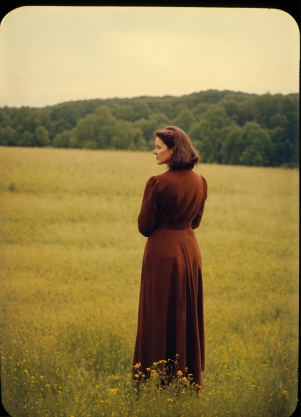 Cloak, Covering, Field, Grass, Meadow, Sky