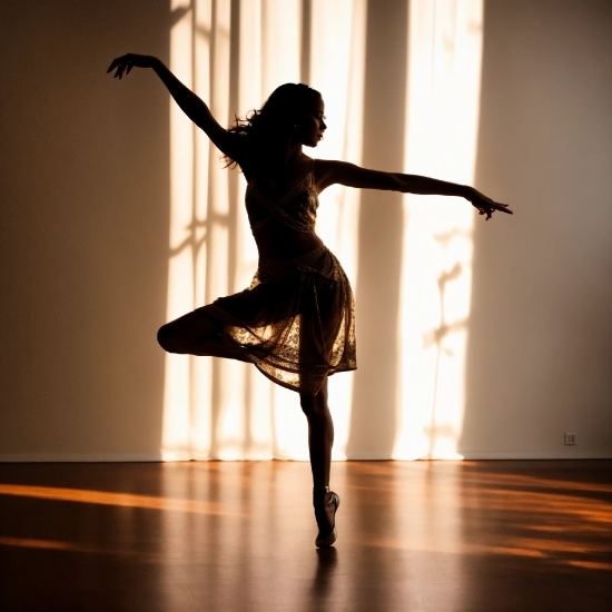 Dancer, Performer, Dance, Entertainer, Person, Silhouette