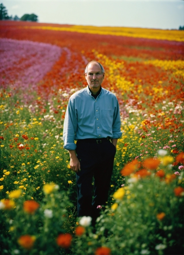 Farmer, Person, Field, Flower, Spring, Summer