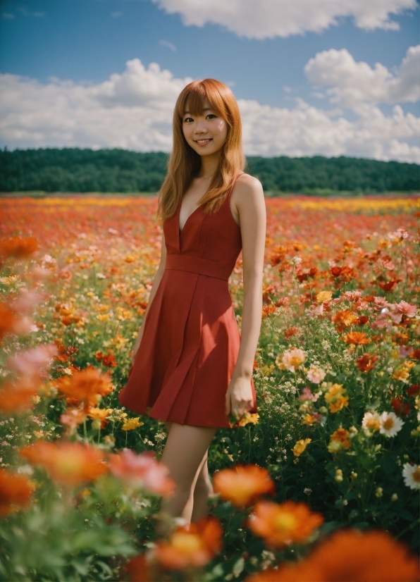 Field, Happy, Summer, Outdoor, People, Happiness