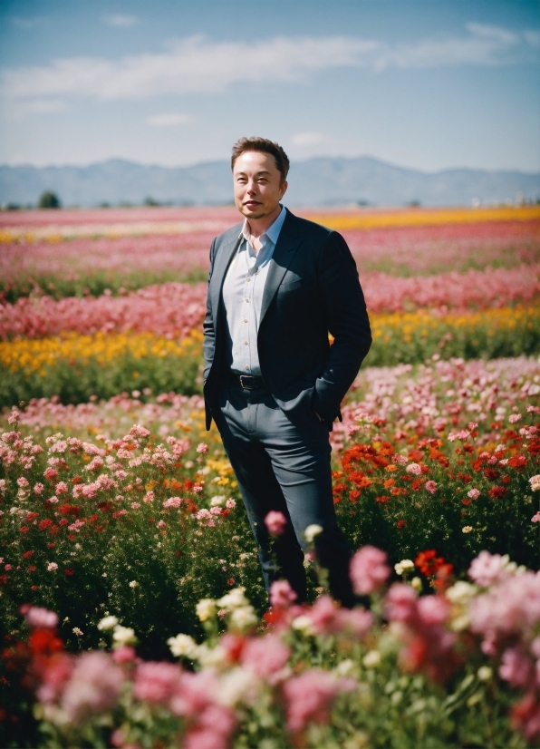 Field, Person, Sky, Meadow, Grass, Happy