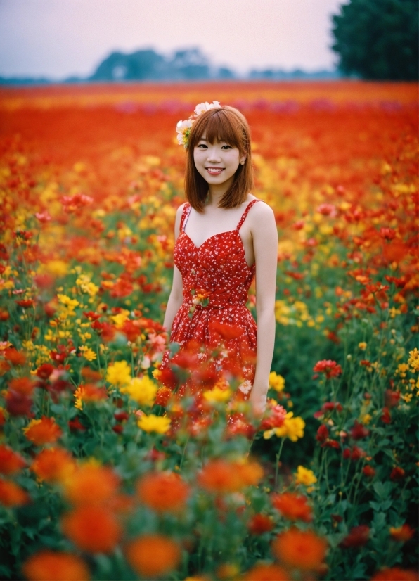 Happy, Field, Outdoor, People, Person, Summer