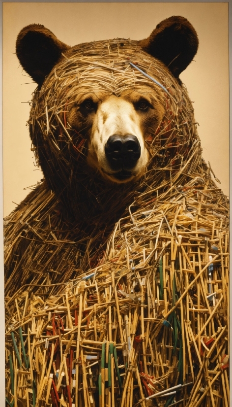 Hay, Water Spaniel, Spaniel, Standard Poodle, Straw, Field