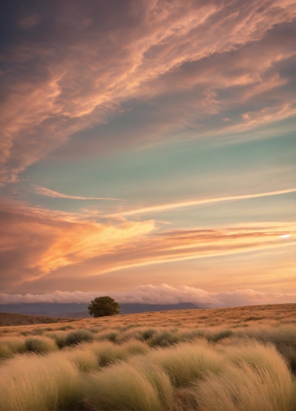 Sky, Atmosphere, Landscape, Sun, Sunset, Clouds