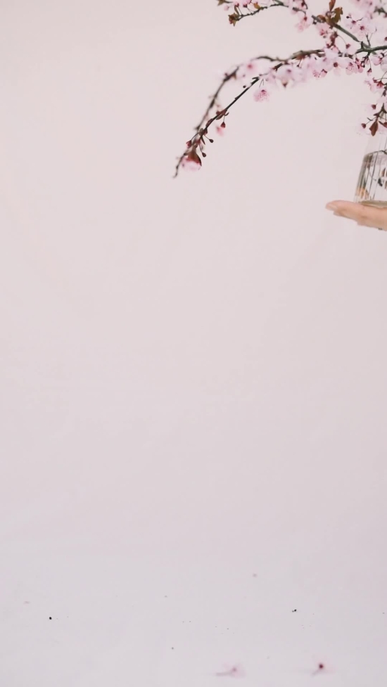 Vertical Stock Video, Stock Footage, Video Clip, Motion Graphics