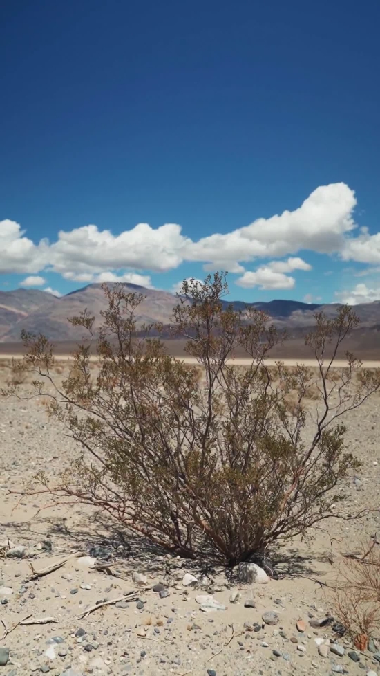 Vertical Stock Video, Stock Footage, Video Clip, Motion Graphics