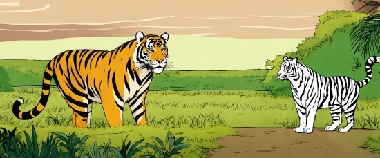 Plant, Ecoregion, Vertebrate, Felidae, Siberian Tiger, Carnivore