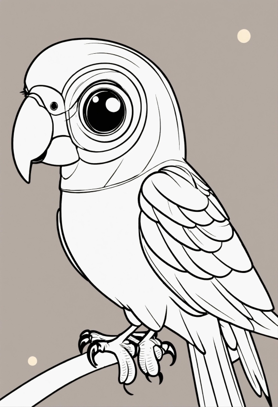 Bird, Beak, Organism, Owl, Art, Bird Of Prey