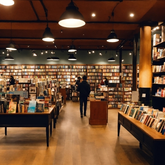 Bookcase, Shelf, Furniture, Publication, Shelving, Book