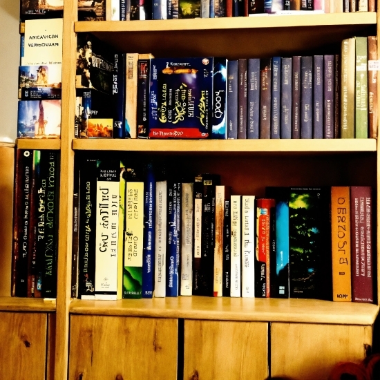 Bookcase, Shelf, Book, Publication, Shelving, Retail