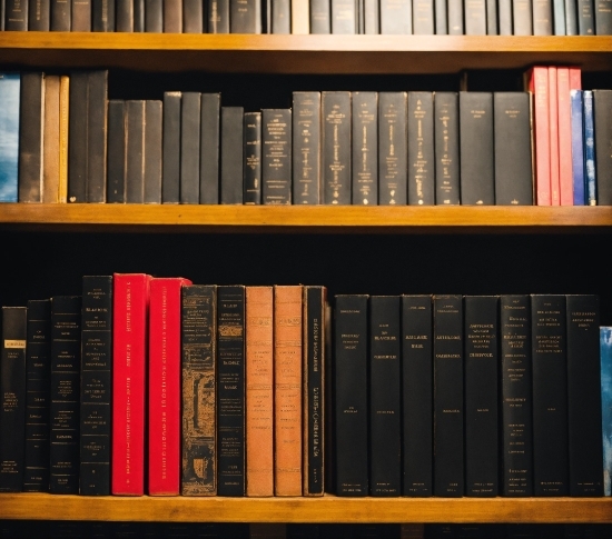 Bookcase, Shelf, Book, Publication, Shelving, Library