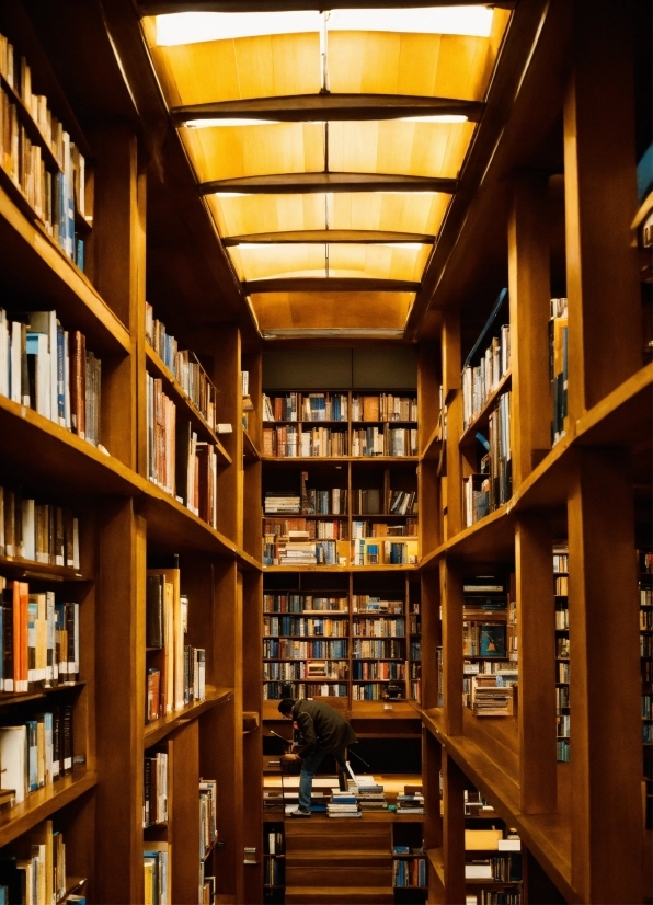 Bookcase, Shelf, Book, Building, Shelving, Publication