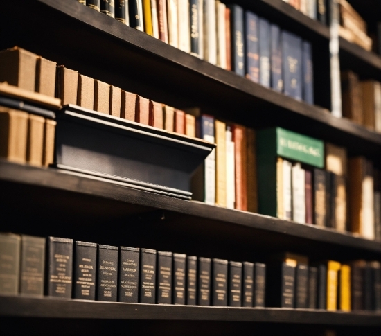 Bookcase, Shelf, Publication, Shelving, Wood, Book