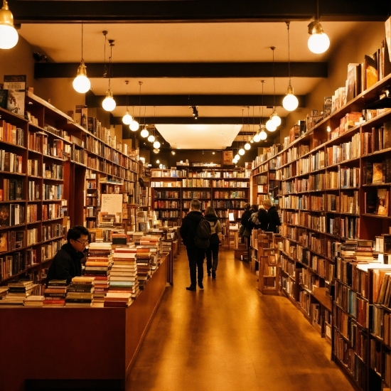 Bookcase, Shelf, Book, Publication, Shelving, Retail