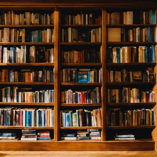 Bookcase, Shelf, Book, Publication, Shelving, Wood