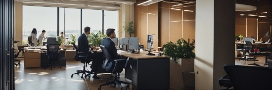 Table, Furniture, Building, Computer, Chair, Plant