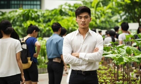 Plant, Temple, Sleeve, Dress Shirt, Gesture, Collar