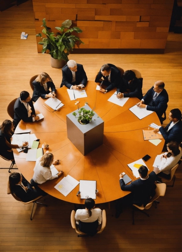 Table, Plant, Furniture, Chair, Houseplant, Suit