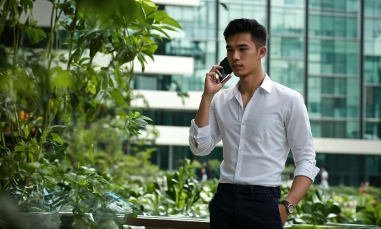 Plant, Dress Shirt, Sleeve, Gesture, Building, Collar