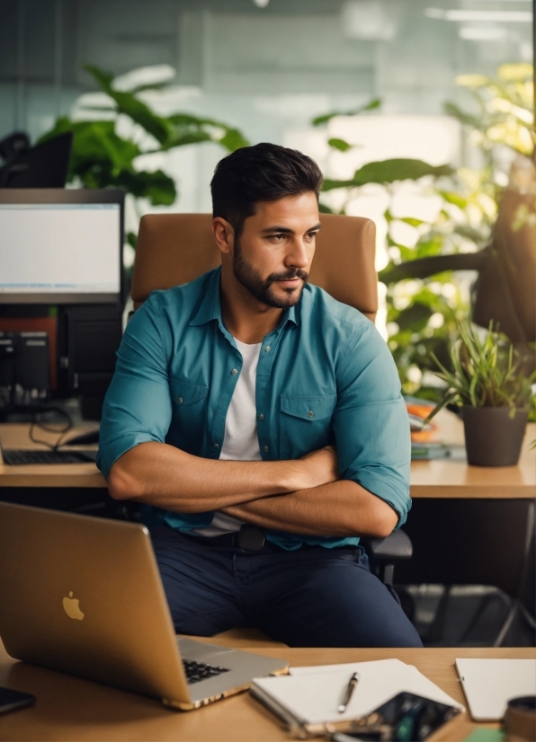 Computer, Plant, Table, Laptop, Personal Computer, Netbook