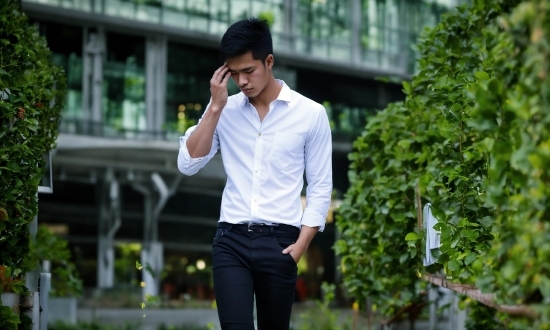 Dress Shirt, Plant, Neck, Sleeve, Gesture, Collar