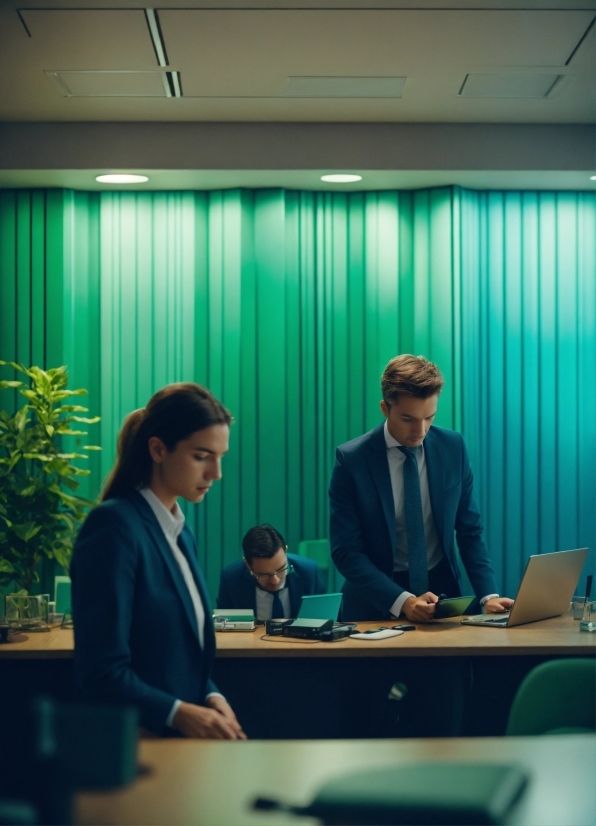 Table, Coat, Laptop, Chair, Desk, Plant