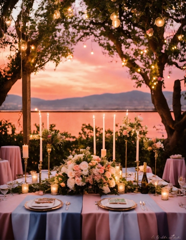 Table, Plant, Tableware, Sky, Furniture, Cloud