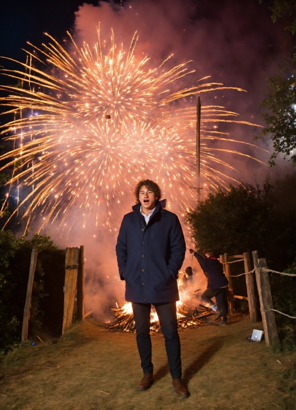 Fireworks, Sky, Flash Photography, Plant, Midnight, Entertainment