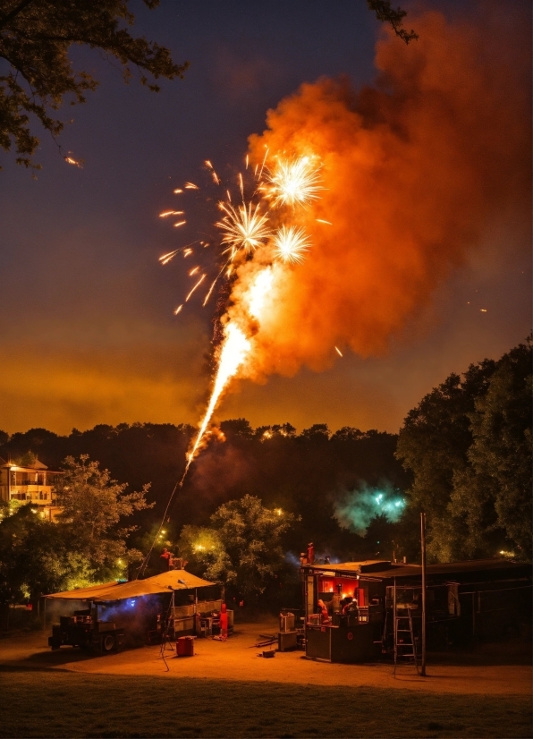 Atmosphere, Sky, Fireworks, Light, Tree, Cloud