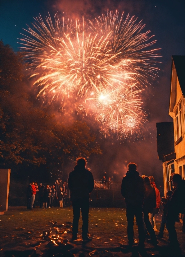 Fireworks, Photograph, Sky, Light, World, Crowd