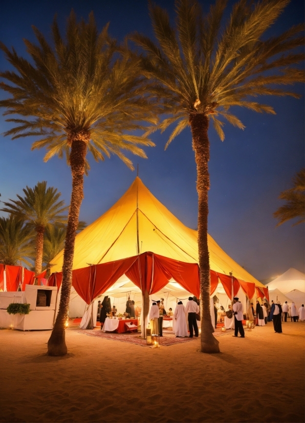 Sky, Plant, Tent, Light, Window, Shade