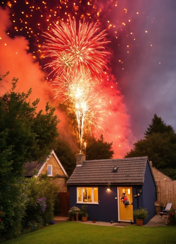 Sky, Plant, Fireworks, Light, Nature, Lighting