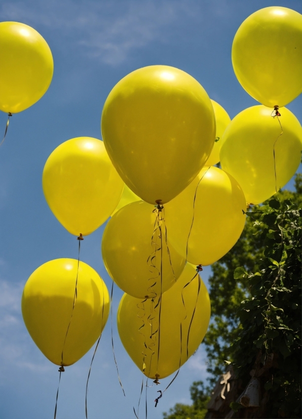 Sky, Daytime, Photograph, Light, Nature, Balloon