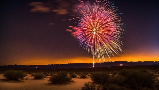 Sky, Fireworks, Atmosphere, Plant, Cloud, Natural Landscape