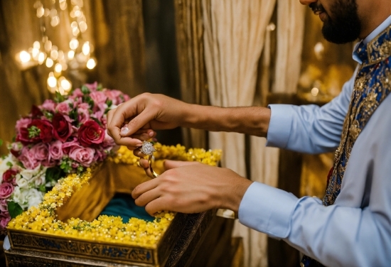 Hand, Flower, Photograph, Yellow, Petal, Curtain