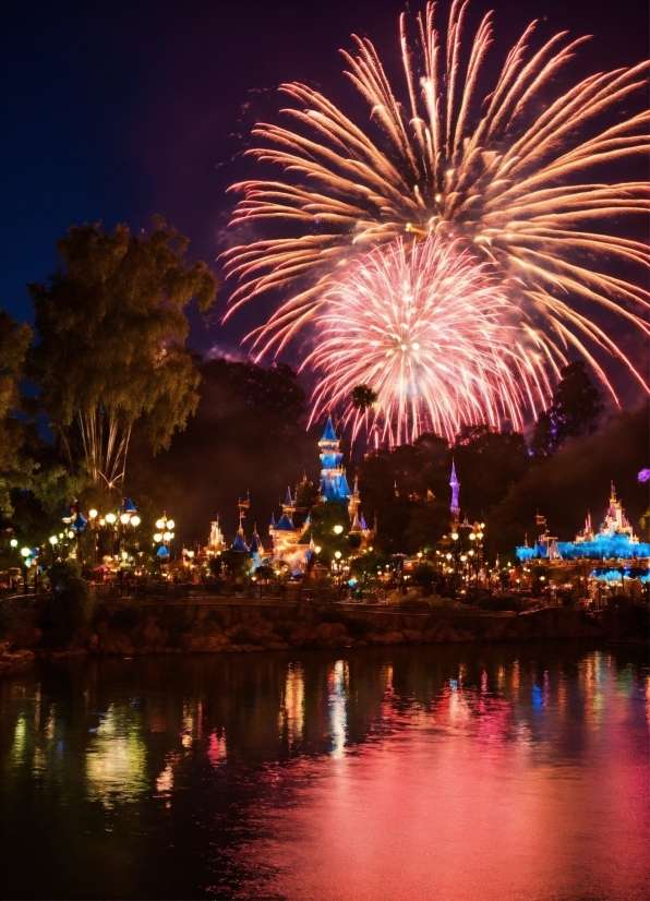 Water, Fireworks, Sky, Light, World, Pink