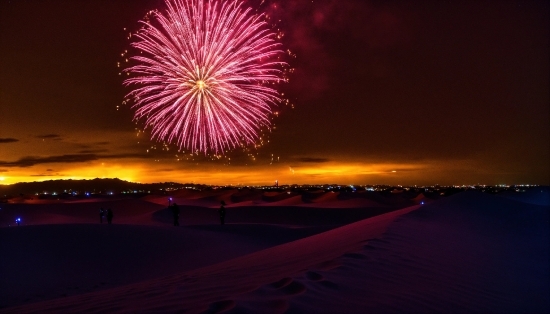 Atmosphere, Fireworks, Sky, Purple, Tree, Landscape