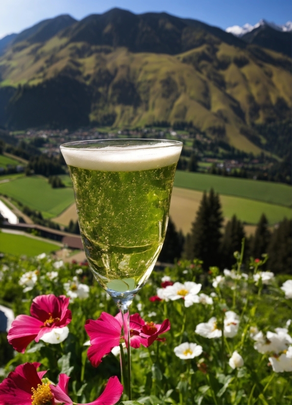 Flower, Sky, Plant, Mountain, Liquid, Drinkware