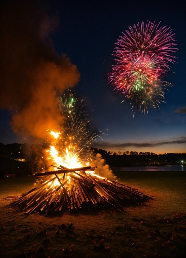 Sky, Fireworks, Body Of Water, Atmospheric Phenomenon, Plant, Horizon