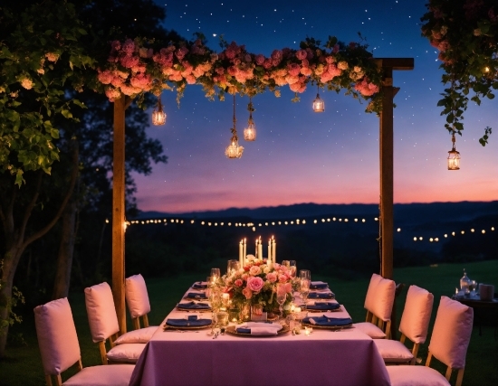 Table, Furniture, Property, Sky, Plant, Chair